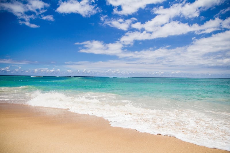 Tropical Beach Image
